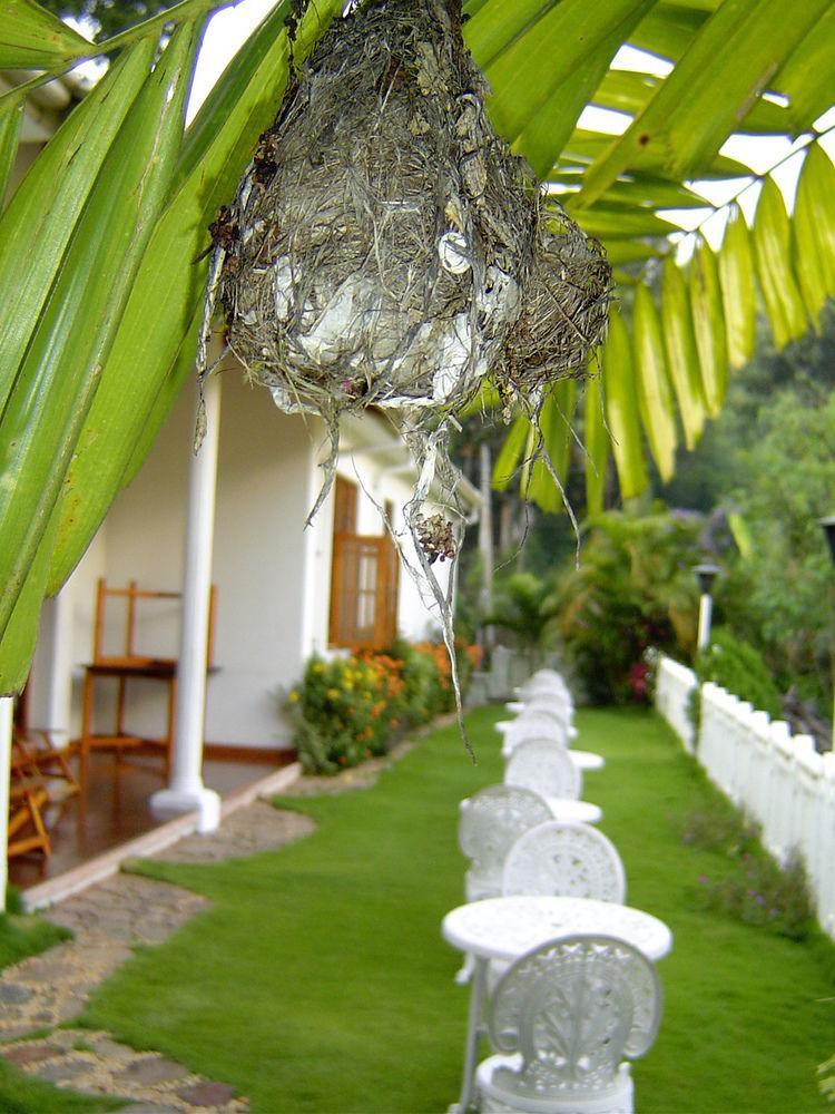 Hotel Water Garden Belihuloya Exterior foto